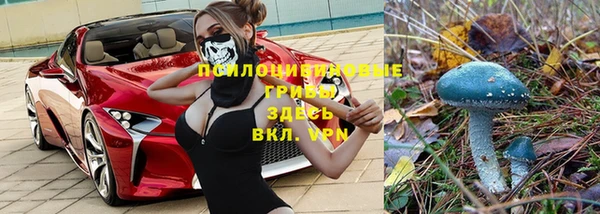 меф VHQ Богданович